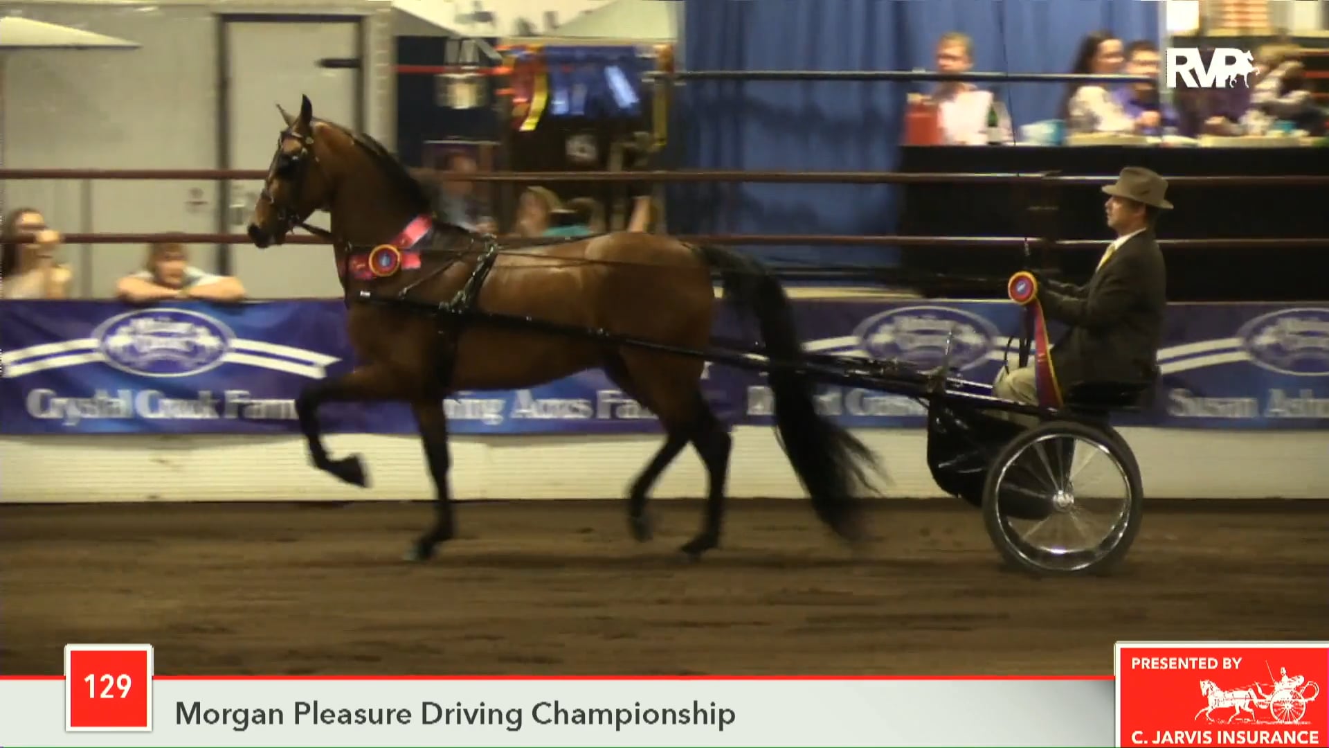 MC18- Class 129 - Hylee's Letterman Championship