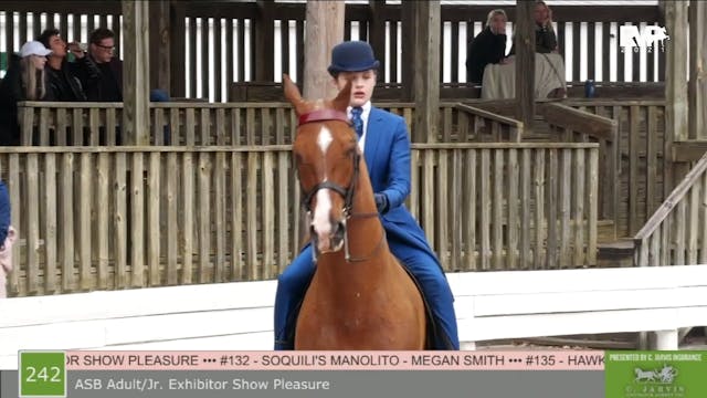 SB21 - Class 243 - ASB Adult Jr Exhib...