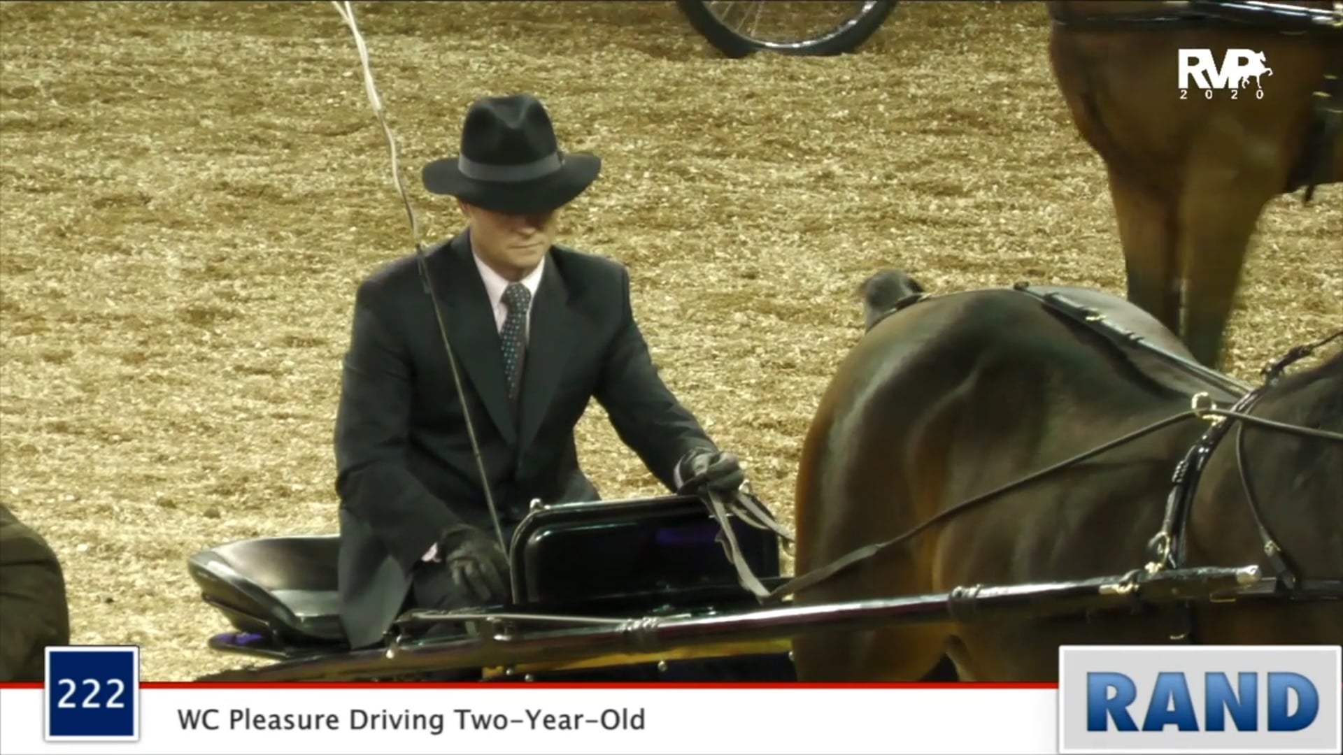 2020 MGN - Class 222 WC Pleasure Driving Two-Year-Old