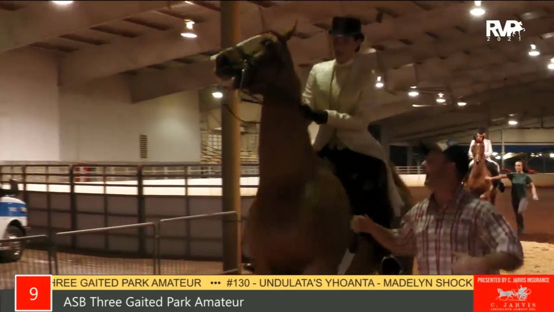 PA21 - Class 9 ASB Three Gaited Park Amateur