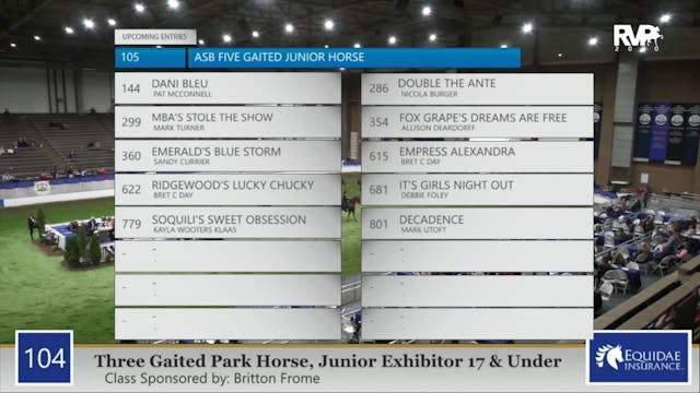 2020 AR - Class 104 Three Gaited Park...