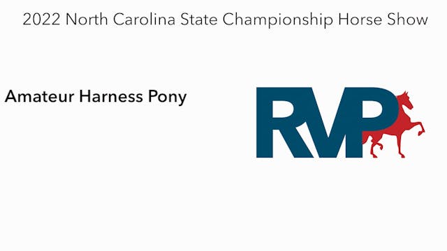 NCSC22 - Class 17 -  Amateur Harness ...