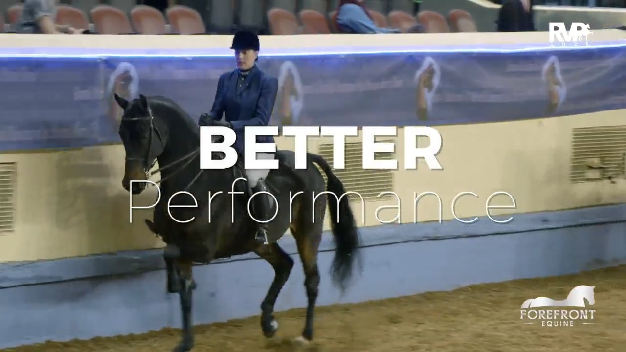 2025 Morgan Grand National - Tuesday Evening - Barn 8