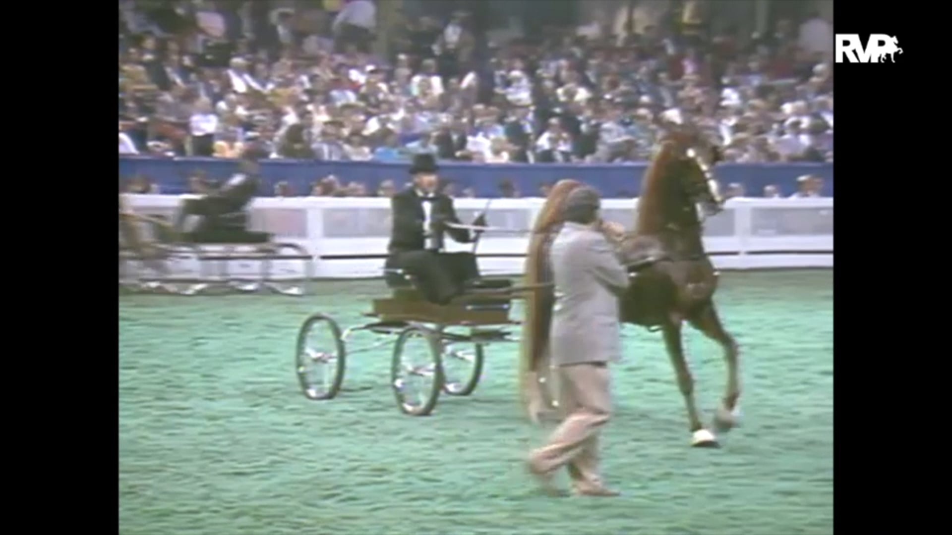 1993 WCHS Class 174 Fine Harness Championship