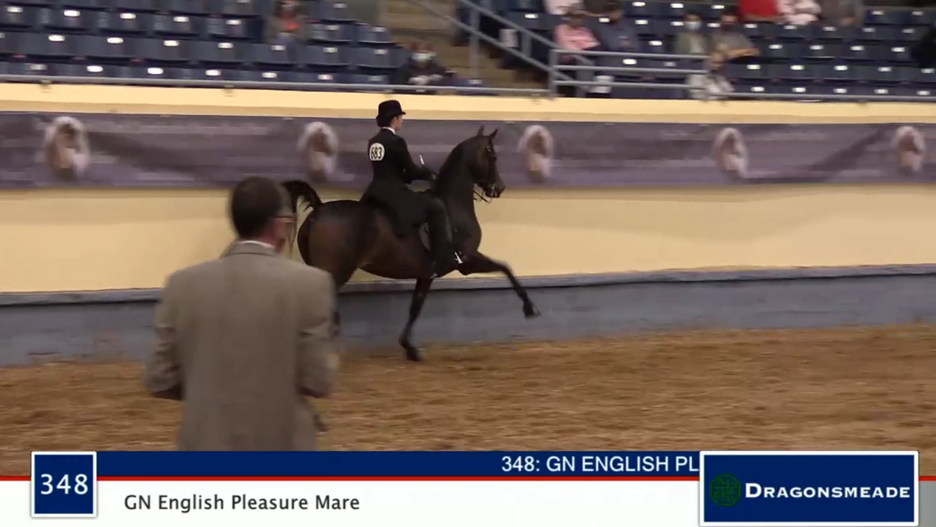 2020 MGN - 348 GN English Pleasure Mare