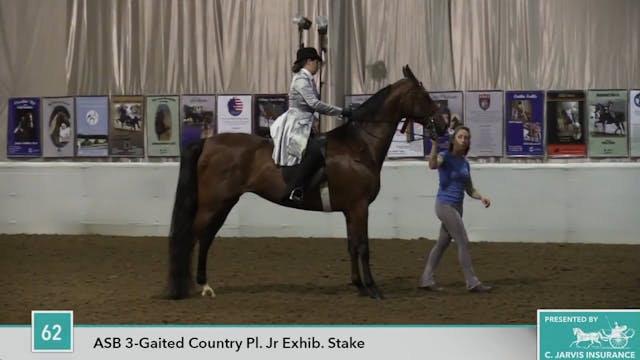 2017UPHA16 - Hutzpah - Stake 