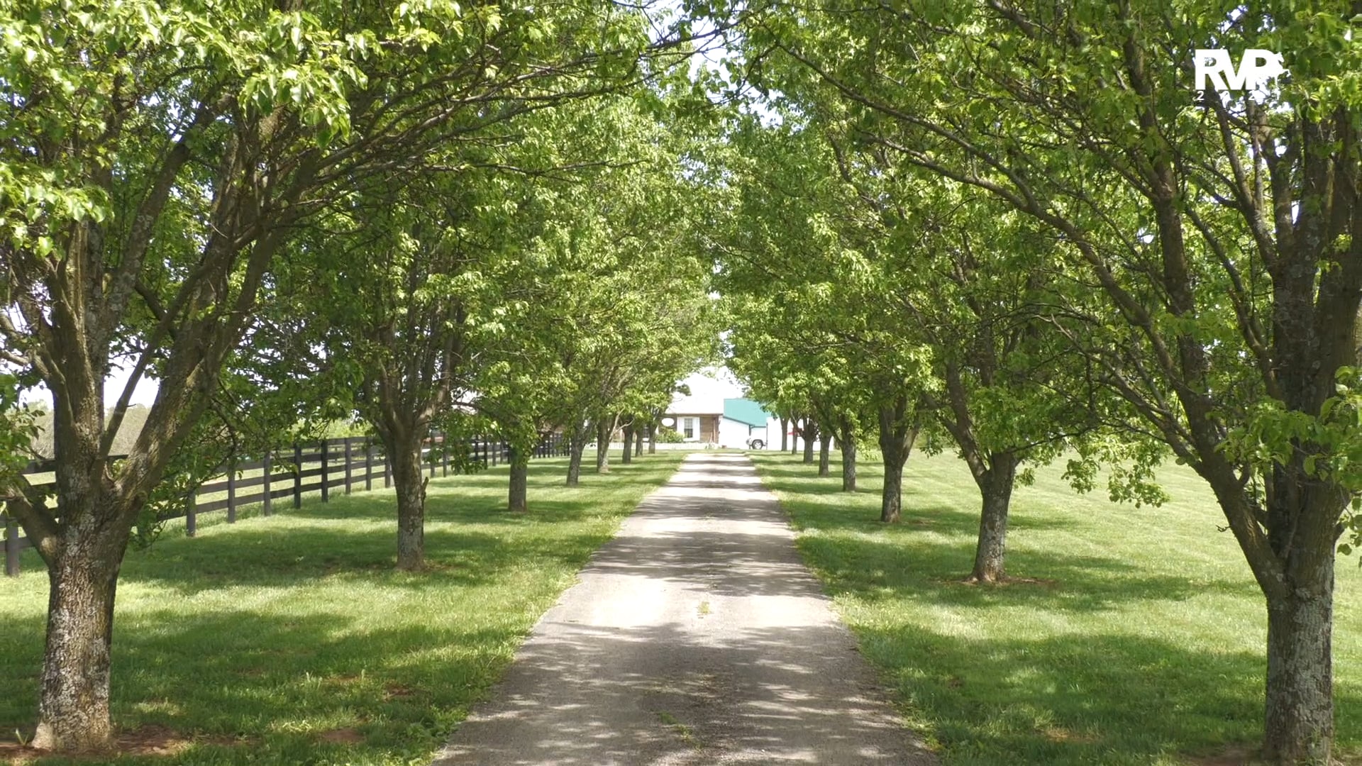 A Visit to Dr. Sally Broder's HorseSensing - Part II