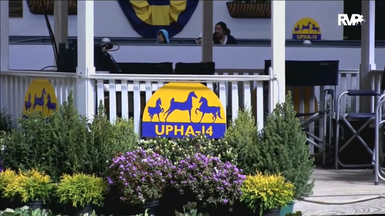 UPHA Ch14 2017 Wednesday Morning