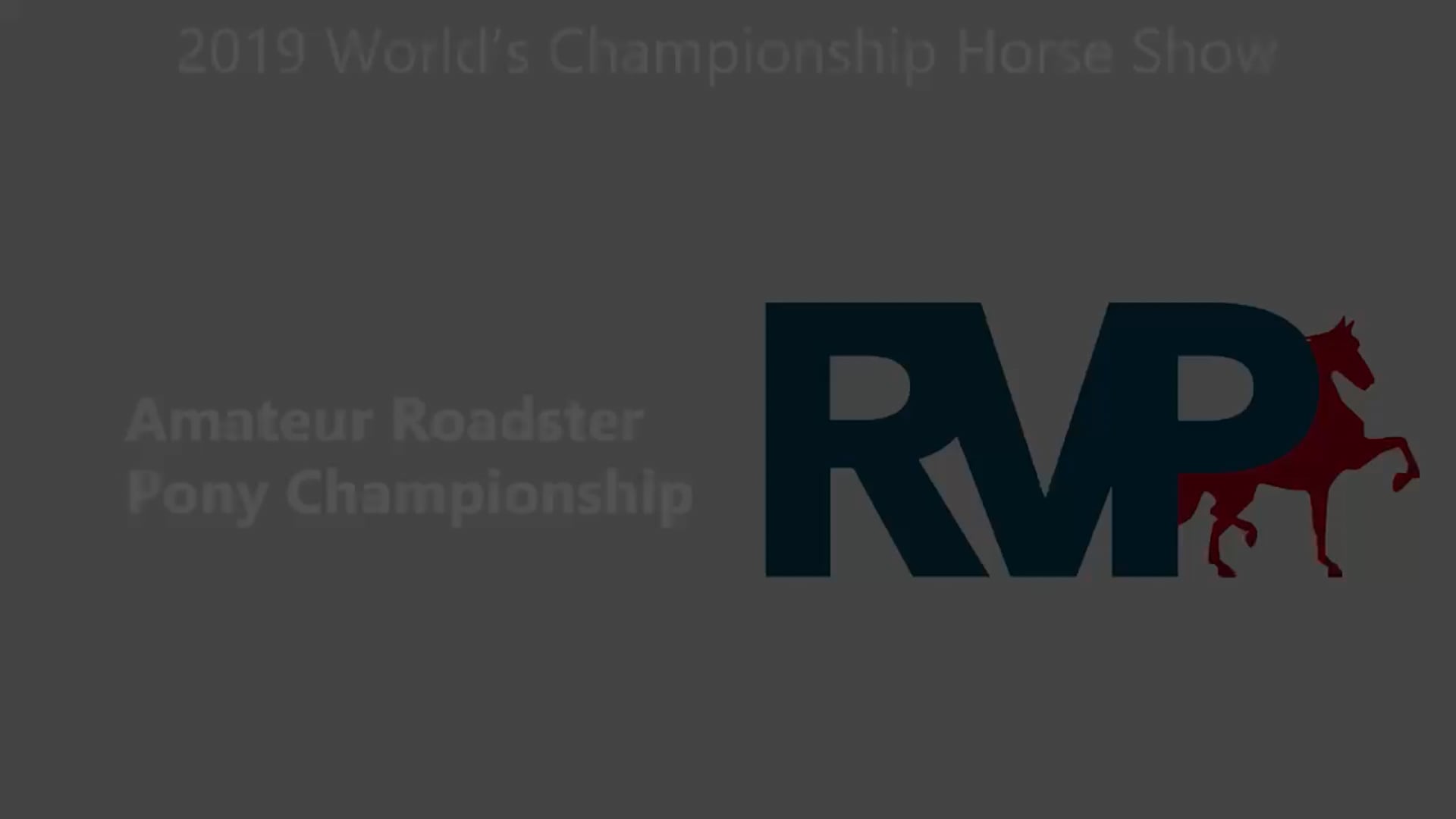 WCHS19 - Class 200 - Amateur Roadster Pony Championship