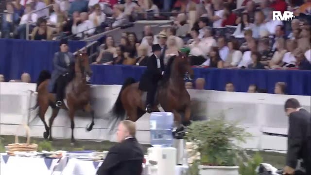 2012 WCHS - Class 167 Five Gaited Pon...