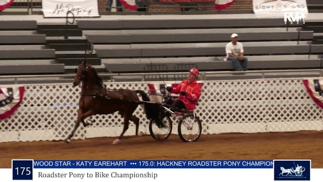 AAC23 - Class 175 - Roadster Pony to ...