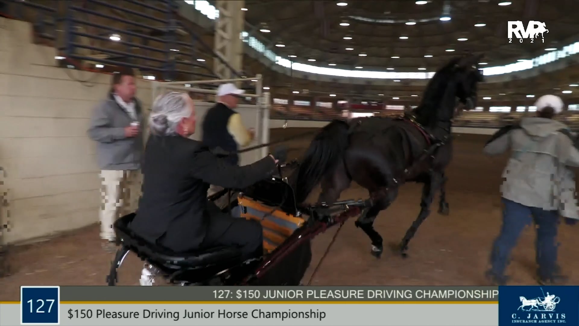 MJ21 - Class 127 - $150 Pleasure Driving Junior Horse Championship