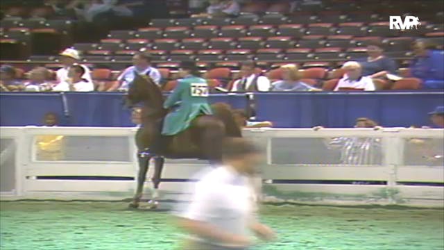 1992 WCHS Class 62 Junior Exhibitor 1...