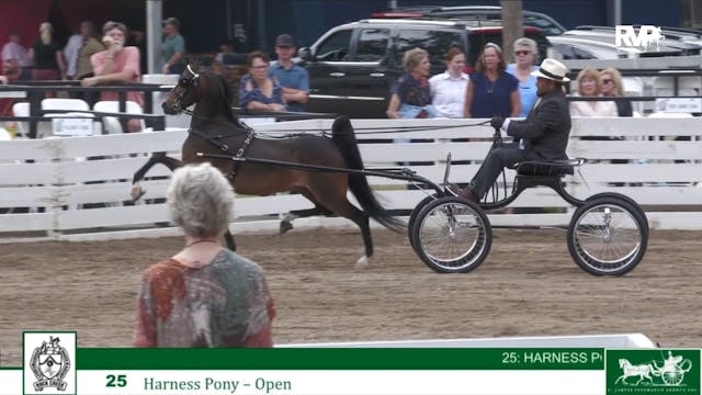 RC24 - Class 25 - Harness Pony Open