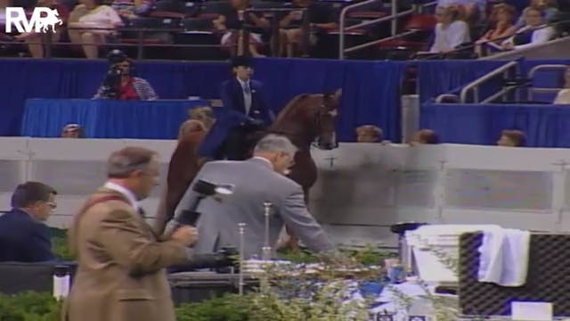 2004 World's Championship Horse Show ...