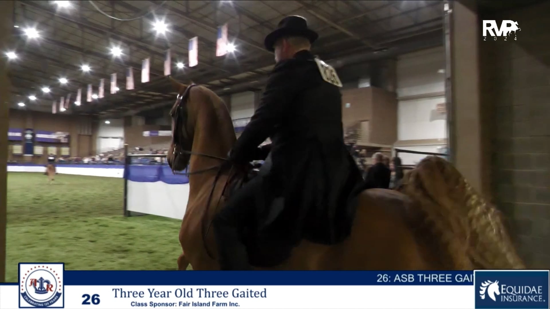 AR24 - Class 26 - Three Year Old Three Gaited