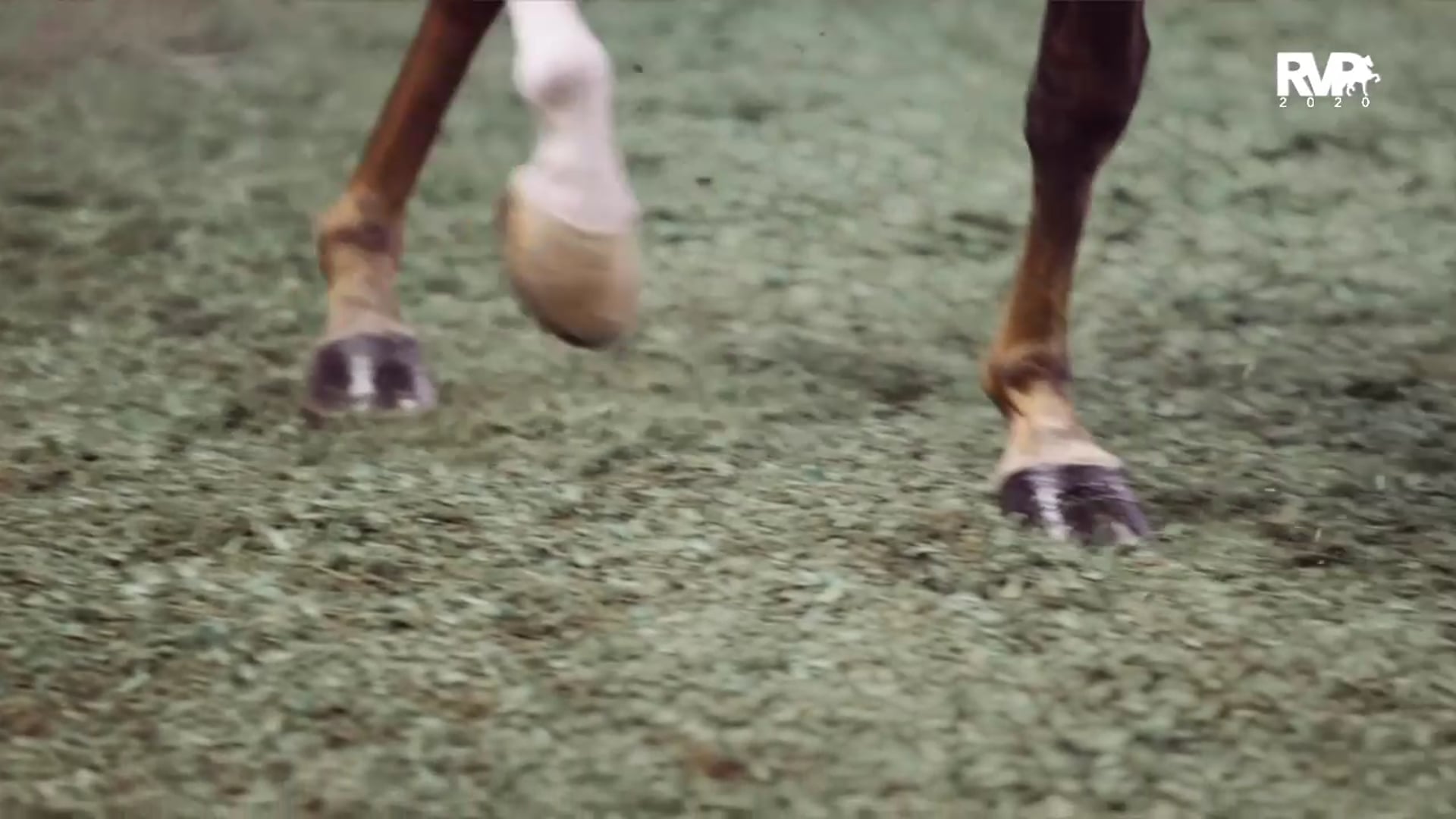 2020 MGN - 10:16 - Friday Morning - Coliseum