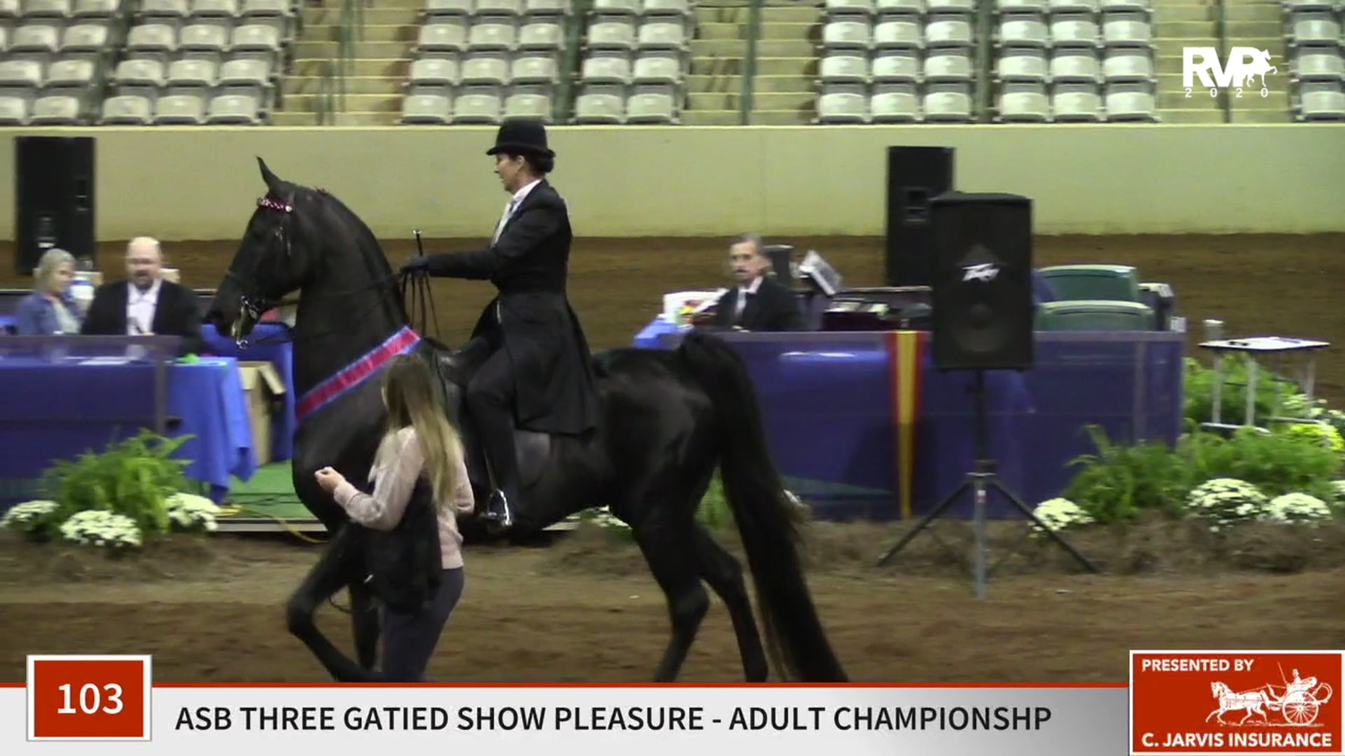 2020 SSFF - Class 103 ASB Adult Three Gaited Show 
Pleasure Championship