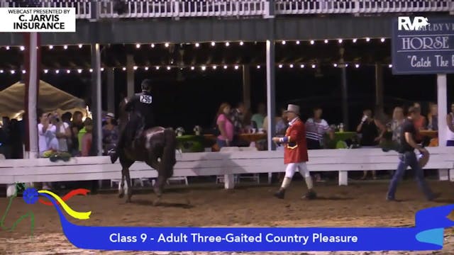 2015 SHS - Class 9 Adult Three Gaited...