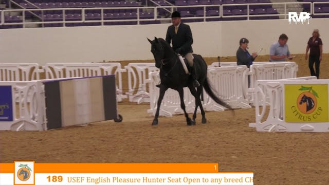 CC24 - Class 189 - USEF English Pleas...