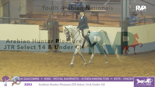 YAN24 - Class 2263 - Arabian Hunter P...