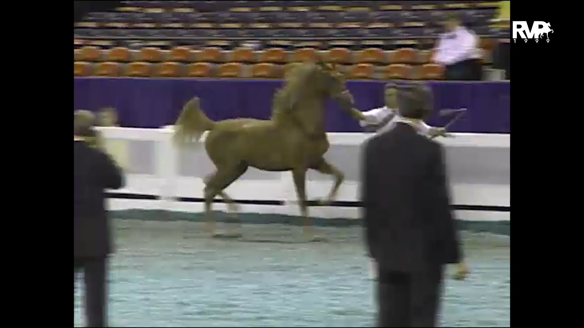 1999 WCHS - Class 46 ASHA Kentucky Futurity - Yearlings