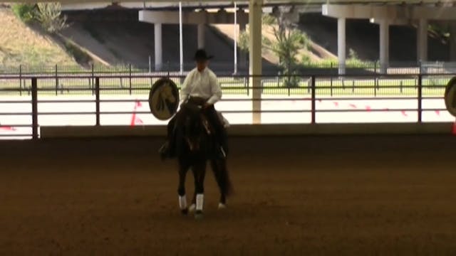 MGN16 - Sport Horse 2 - Friday Afternoon