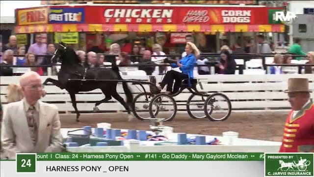 2017 RC - Class 24 Harness Pony Open 
