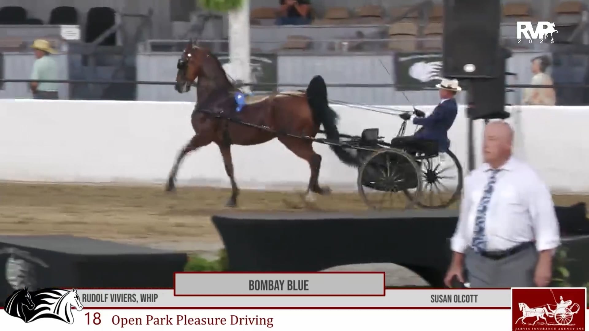MCF25 - Class 18 - Bombay Blue and Rudolf Viviers, Whip