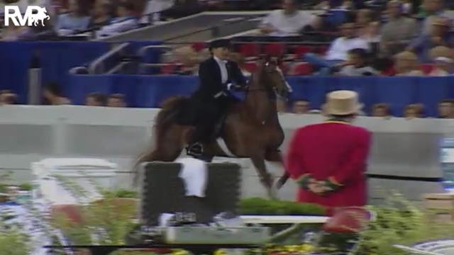 2004 World's Championship Horse Show ...