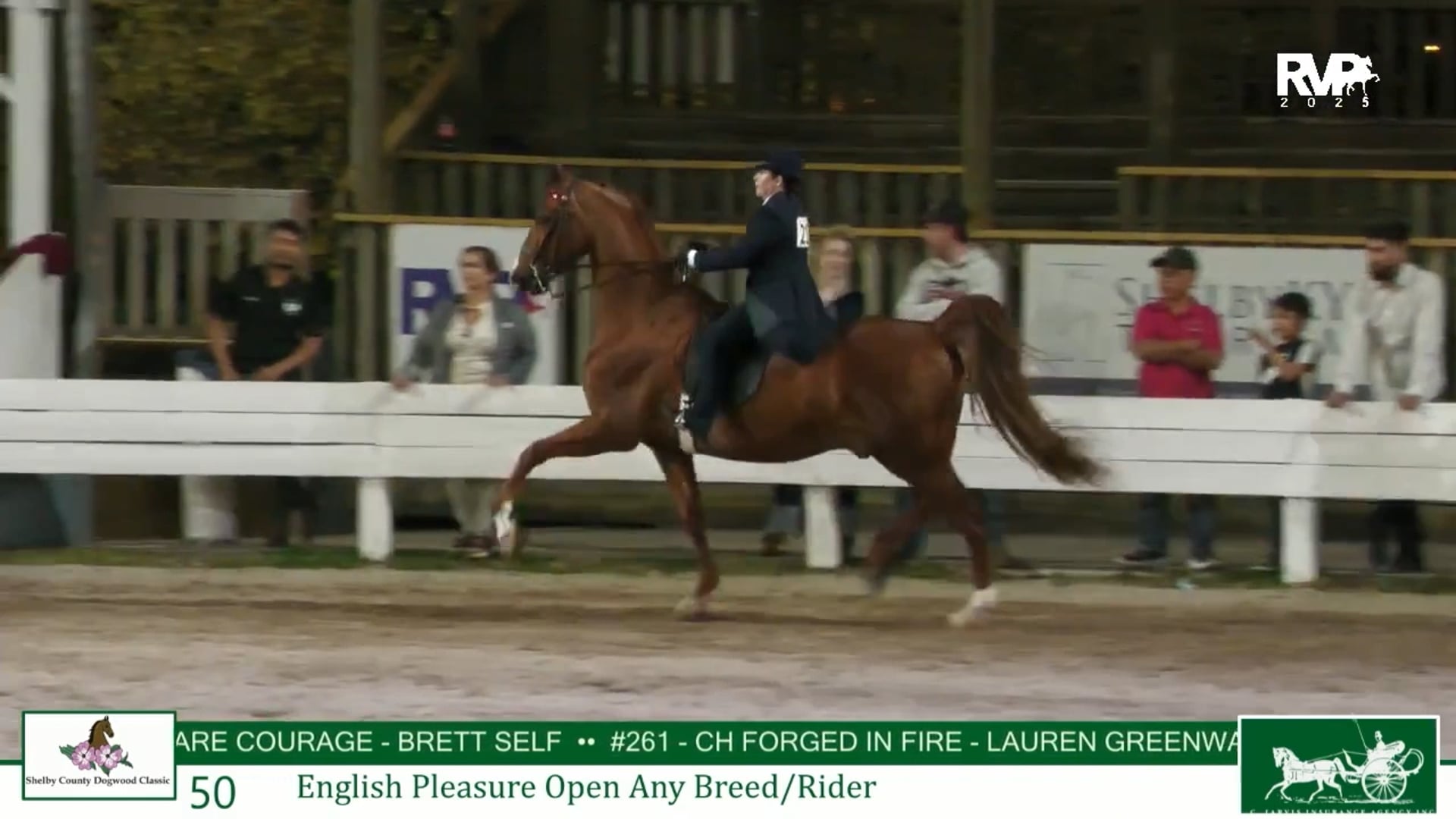 DC25 - Class 50 - English Pleasure Open Any Breed-Rider