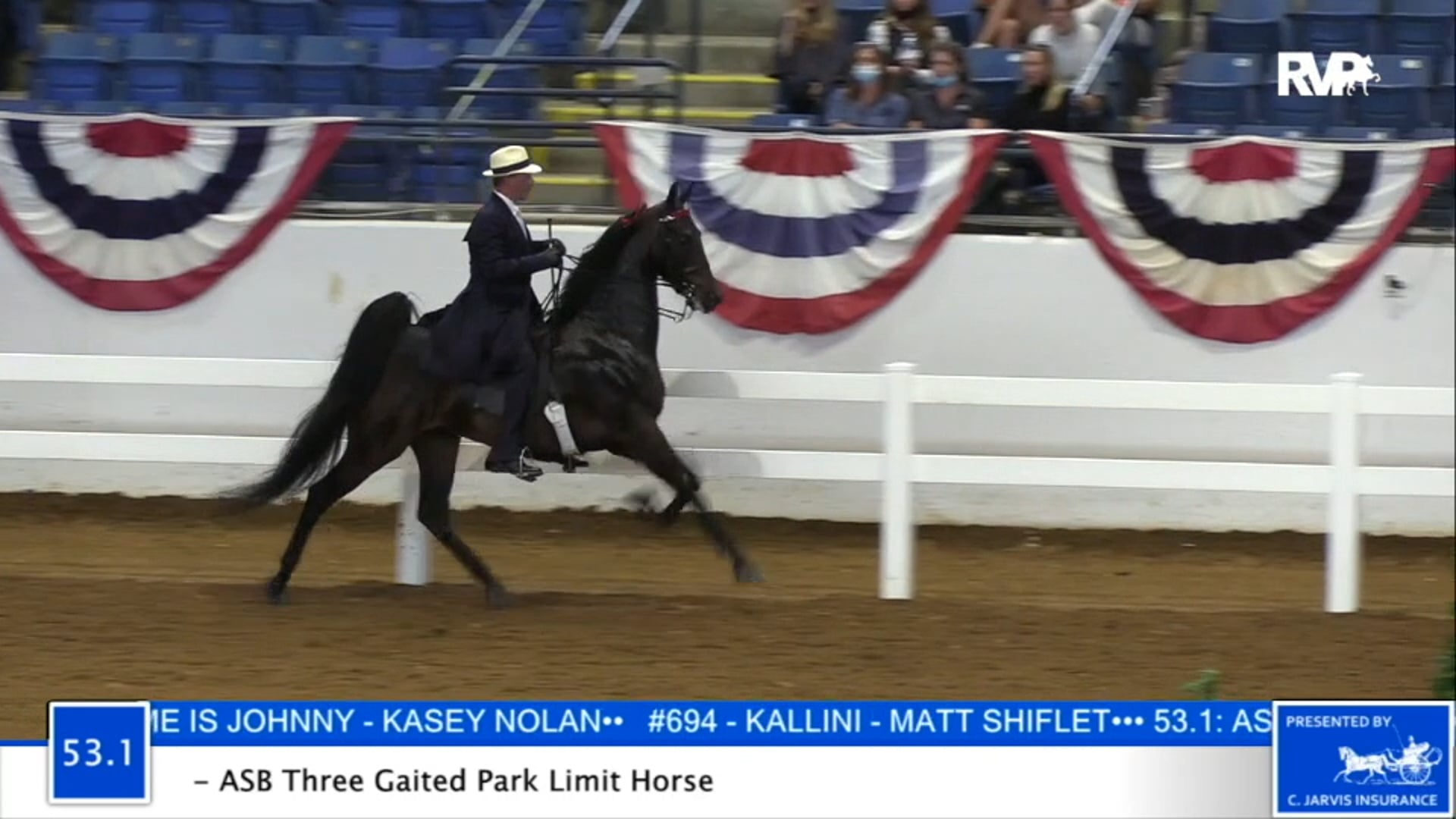 2020 BB - Class 53.1 ASB Three Gaited Park Limit Horse