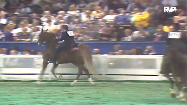 1992 WCHS Class 164 Ladies Five Gaite...