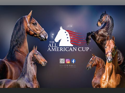 2023 All American Cup Stallion Service