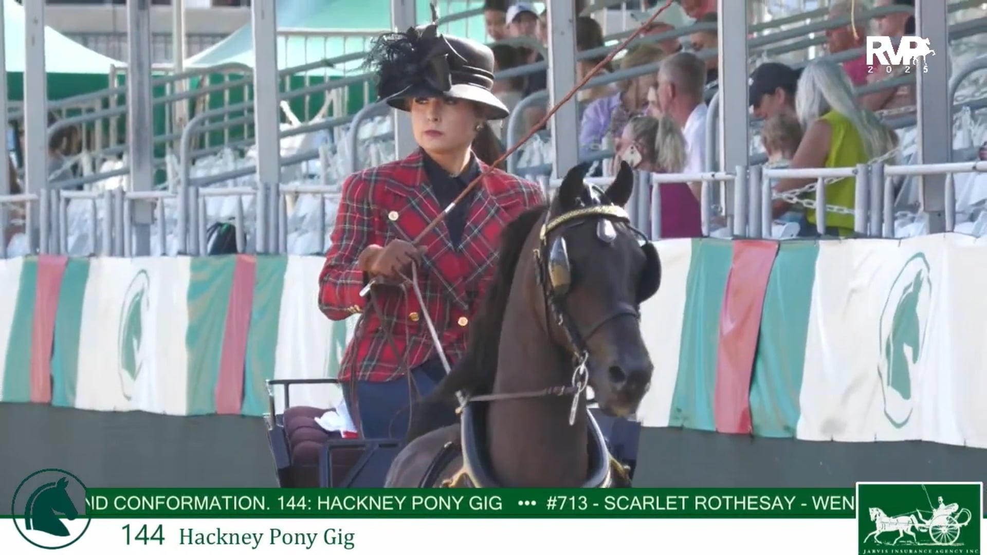 LJL25 - Class 144 - Hackney Pony Gig