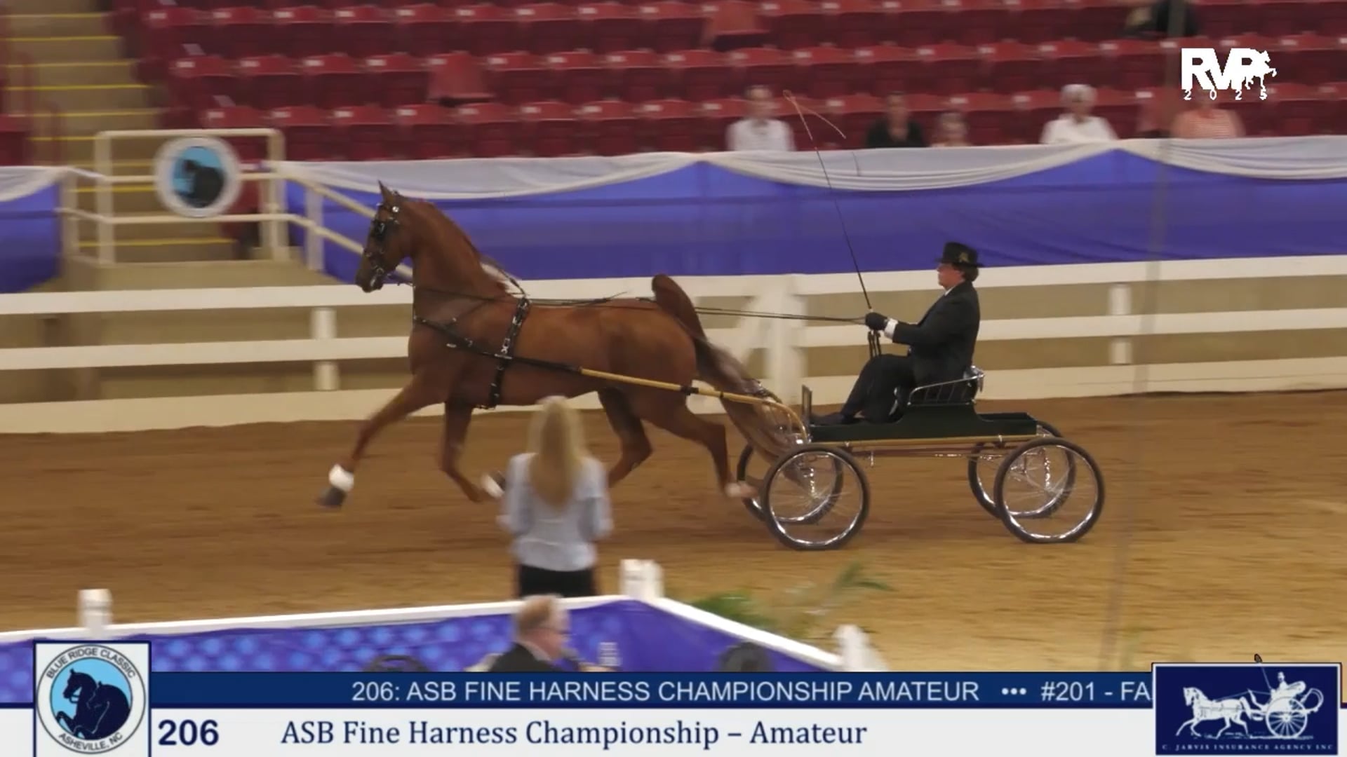 BRC25 - Class 206 - ASB Fine Harness Championship Amateur