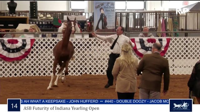 AAC23 - Class 14 - ASB Futurity of In...