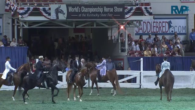 2011 WCHS Class 169 Three Gaited Pony...