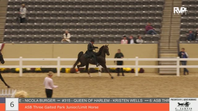 KYFC22 - Class 6 - ASB Three Gaited P...