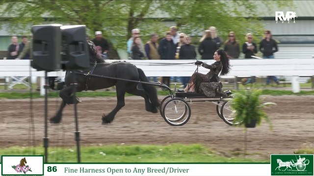 DC24 - Class 86 - Fine Harness Open t...
