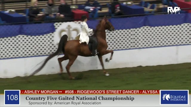 2020 AR - Class 108 Five Gaited Count...