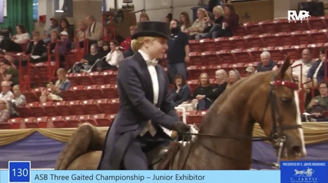 ASC21 - Class 130 - ASB Three Gaited ...