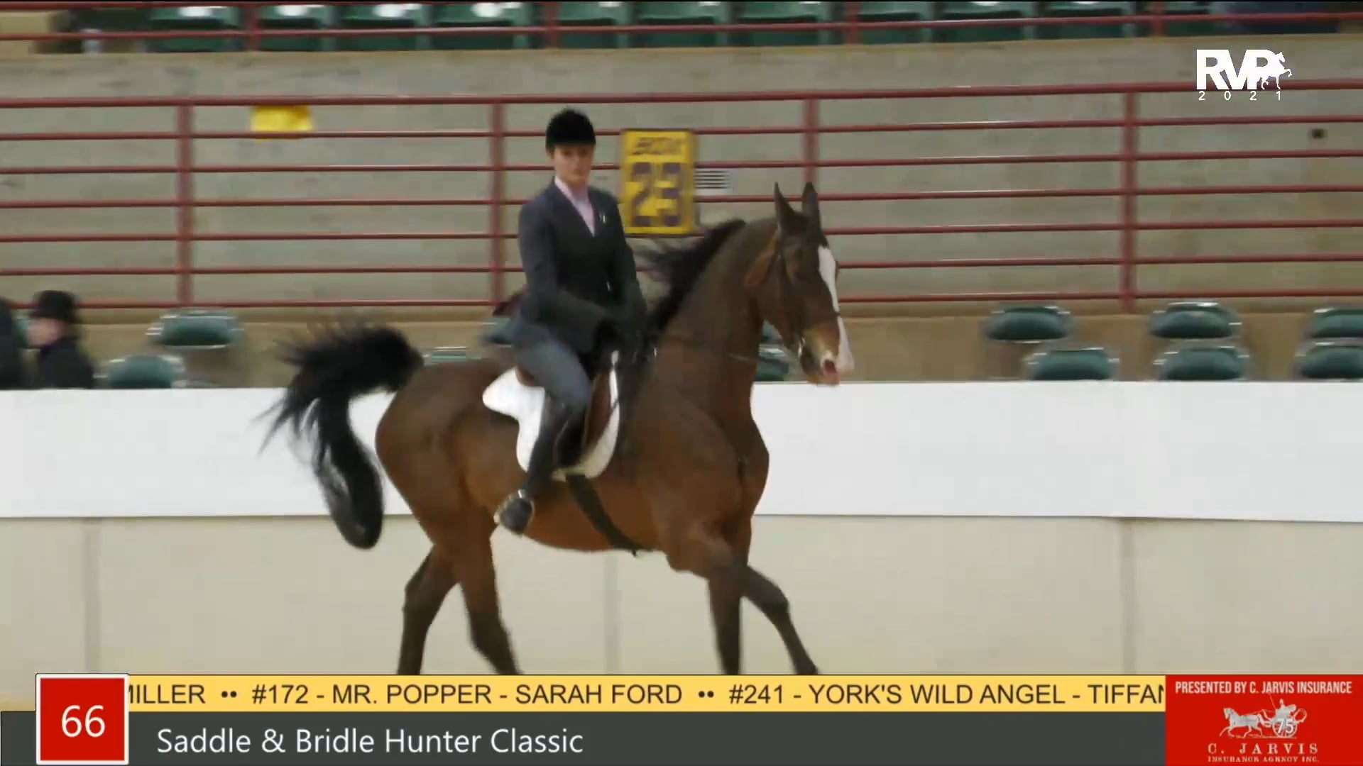 PA21 - Class 66 Saddle & Bridle Hunter Classic 