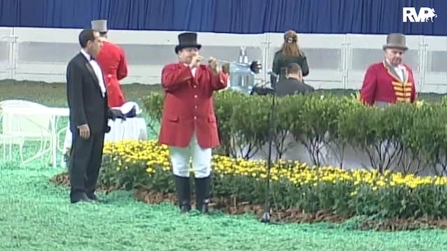 2010 World's Championship Horse Show ...