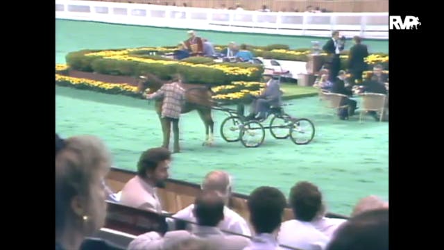 1989 WCHS Class 2 AHHS Futurity - Thr...