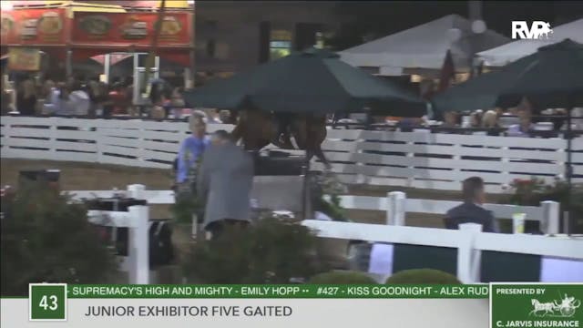 2016 RC - Class 43 Junior Exhibitor F...