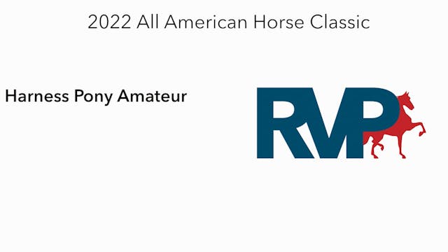 AAC22 - Class 78 -  Harness Pony Amateur