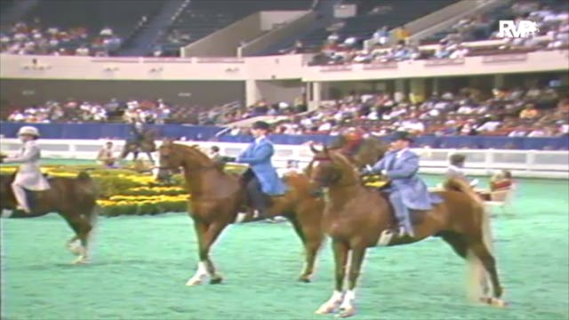 1992 WCHS Class 20 Junior Exhibitor T...