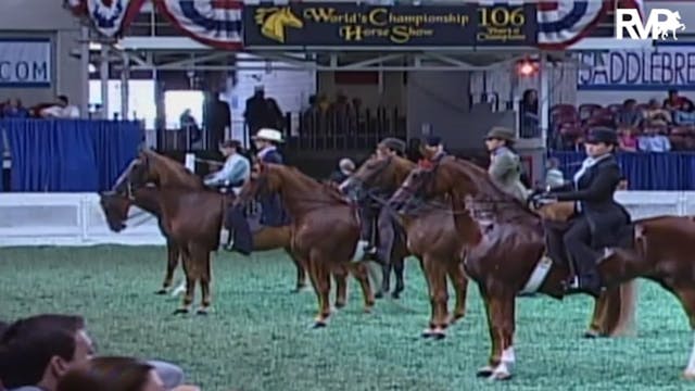 2009 World's Championship Horse Show ...