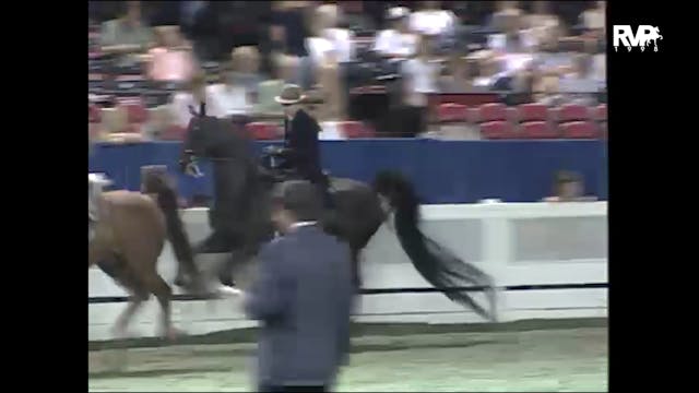 1998 WCHS - Class 87 ASB Three Gaited...